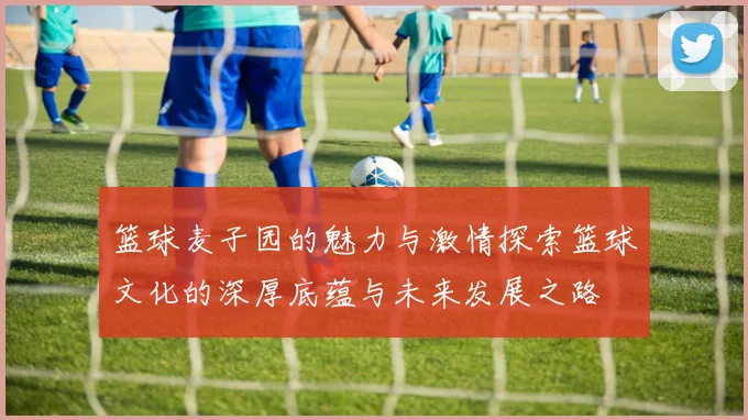 篮球麦子园的魅力与激情探索篮球文化的深厚底蕴与未来发展之路