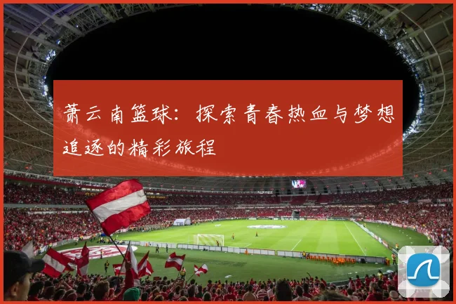 萧云南篮球：探索青春热血与梦想追逐的精彩旅程