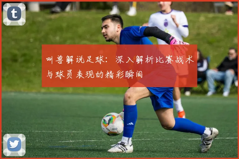叫兽解说足球：深入解析比赛战术与球员表现的精彩瞬间