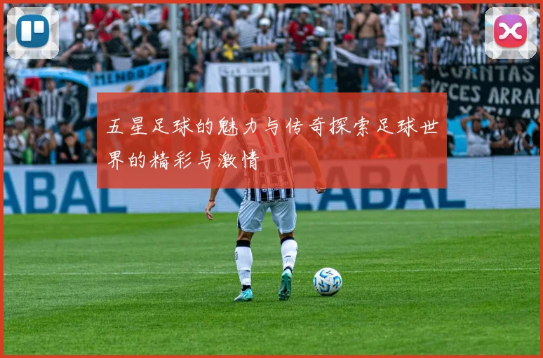 五星足球的魅力与传奇探索足球世界的精彩与激情
